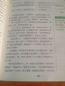 作文,一件事,校園里,最難忘