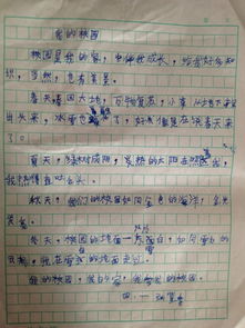 小學四年級我們的校園的作文怎么寫,四年級作文我們的校園400字作文,我們的校園四年級300字作文怎么寫