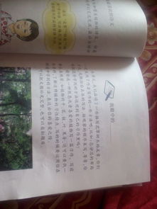 我眼中的校園寫花草樹木作文400字