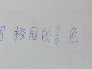 校園正能量作文350個字
