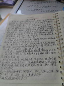 校園風景作文一重二小