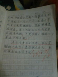 我心中的校園風景線作文小學300