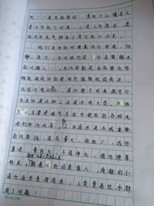 校園一景初二作文600寫花