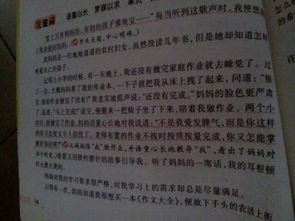 我們的校園真美作文300字三年級(jí),我們的校園真美作文300字四年級(jí),我們的校園真美作文300字三年級(jí)寫景