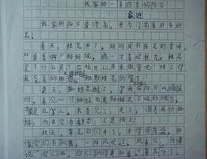 美麗的校園作文寫(xiě)景500字