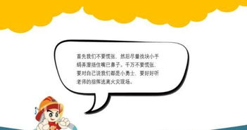 關愛生命快樂成長的內容,關愛生命快樂成長演講稿,關愛生命快樂成長黑板報