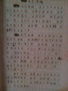美麗的校園作文200個字三級上冊