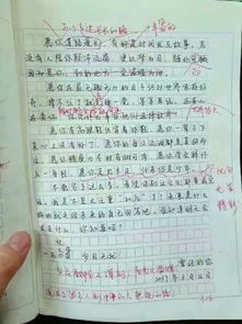 校園是一種風(fēng)景500字作文開(kāi)頭結(jié)尾
