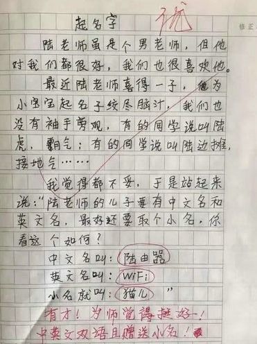 小學生描寫校園的作文,小學生校園安全作文,小學生校園種菜作文