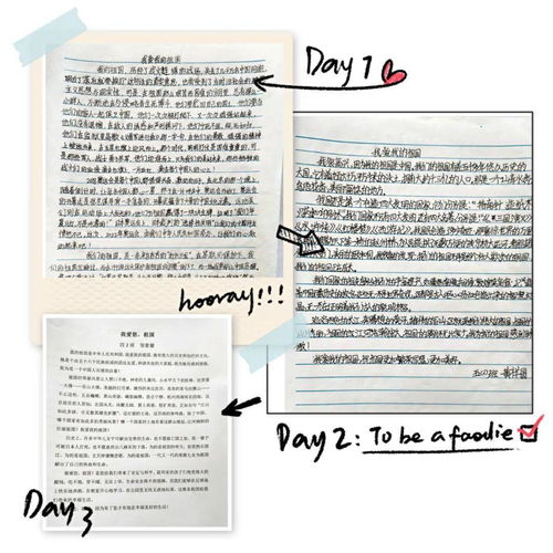 我愛,作文,祖國(guó),校園