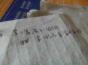 我的校園的風(fēng)景600字作文開(kāi)頭和結(jié)尾