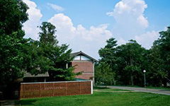 校園一角操場(chǎng)作文400字寫景,校園一角(操場(chǎng))作文400字左右,推薦校園一角操場(chǎng)作文400字寫景