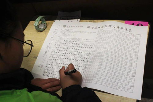 當(dāng)你踏入實(shí)驗(yàn)校園的時(shí)候作文