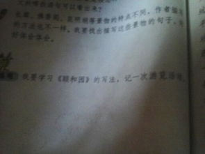 校園的一次活動(dòng)作文200字