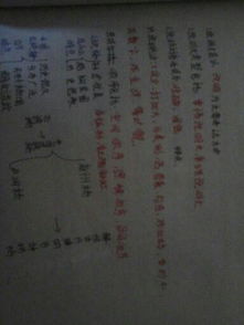 我們的校園作文空間順序300