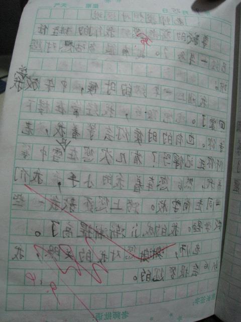 關于改善校園體育設施的作文
