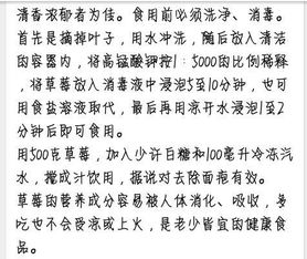 校園300字作文運用說明