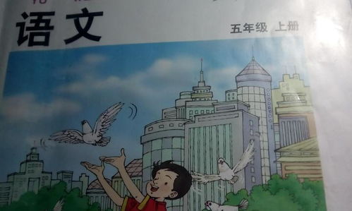關于校園的一遍作文四上冊