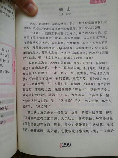 蓮花峰小學校園風景作文400字