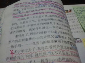 我喜歡春天的校園作文400字,我喜歡校園的操場作文400字,我喜歡的校園活動(dòng)400字作文