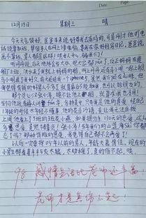 作文,雨后,小學生,校園