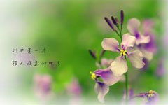 二級(jí)作文100字我的校園