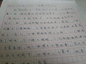 作文,眼中,校園,大學