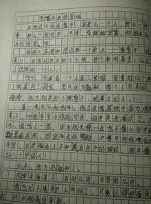 寫校園人物的作文我的老師