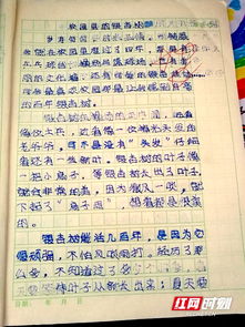 關(guān)于校園銀杏樹的作文