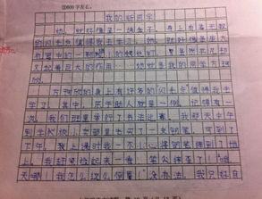 校園里的同學友誼作文600字作文