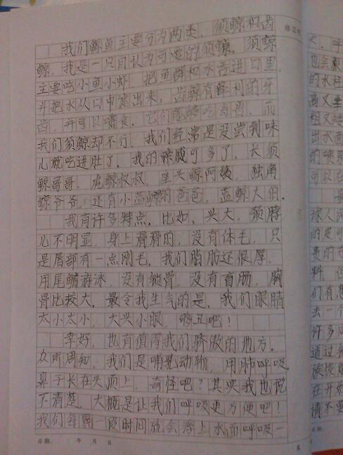 感動小學校園作文1000字