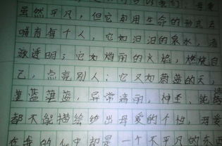 借物抒情描寫校園的作文