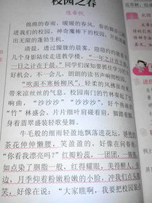 關于神奇的美麗校園的作文200字