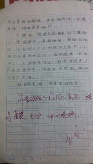 21世紀(jì)的校園500字作文