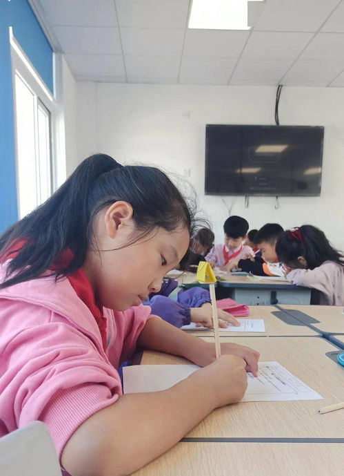 家庭校園社會系列作文