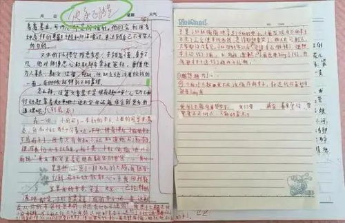 小學生關(guān)于校園作文范文