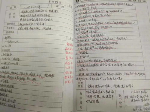 關(guān)于校園安全高中作文1000字