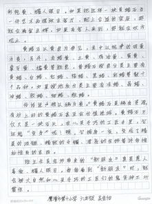 校園文化的作文,以校園文化為主題的作文,有關校園文化的作文