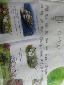 我們的校園作文描寫建國(guó)路