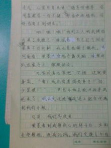 我的校園作文400字敘事