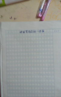 校園關注的一件事作文600字