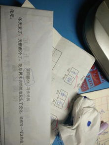 熟悉的校園的變化作文300字作文