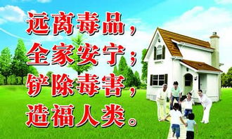 禁毒知識進校園800字作文
