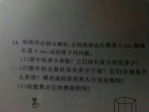 廉潔走進校園作文500字