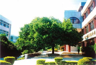 二小校園風(fēng)景線(xiàn)的作文