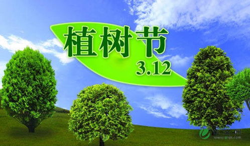 植樹(shù)節(jié),作文,校園