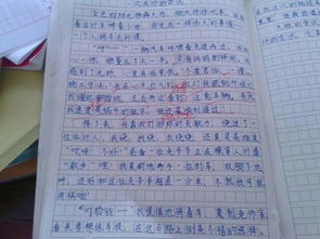 校園禁煙作文400個字