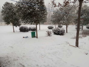 校園里堆雪人學生作文