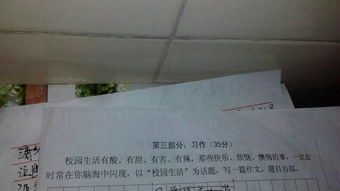 大學校園生活的作文700