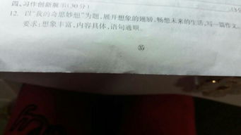 凈化校園從我做起作文300字,綠色校園從我做起作文300字,文明校園從我做起作文300字左右